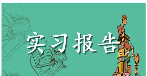 2023会计专业实习总结