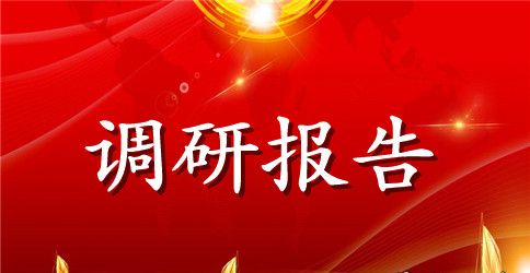 提升城市规划建设品位调研报告