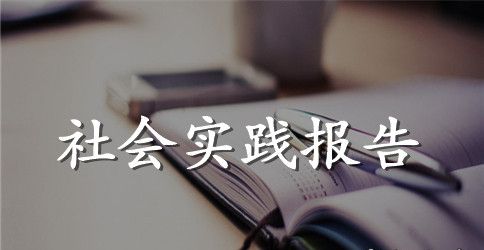 2023中学生寒假社会实践报告范文