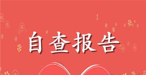 中学教师师德师风自查报告范文2023