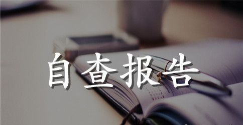 2023年党建工作自查报告