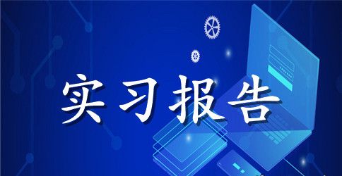 【精华】会计助理实习报告4篇