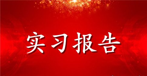 【实用】研究实习报告四篇