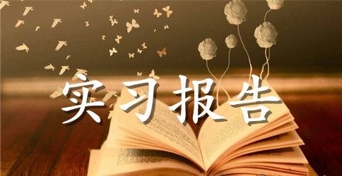 有关销售类实习报告3篇