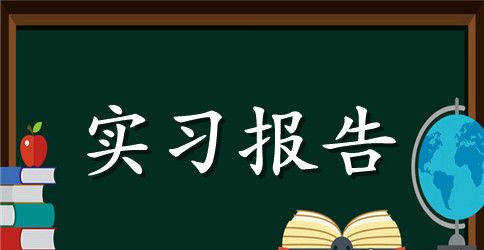 【精华】专业实习报告汇总10篇