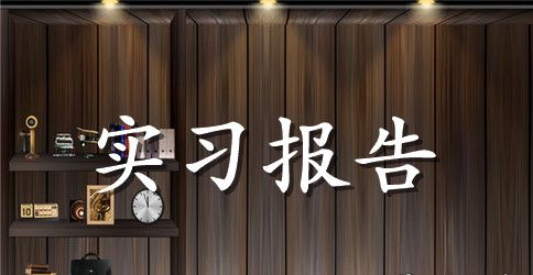 会计师事务所实习报告范文（5篇）