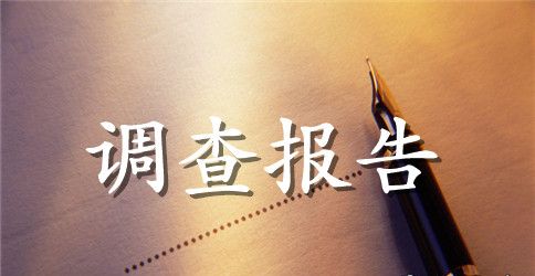 关于调查报告作文400字6篇