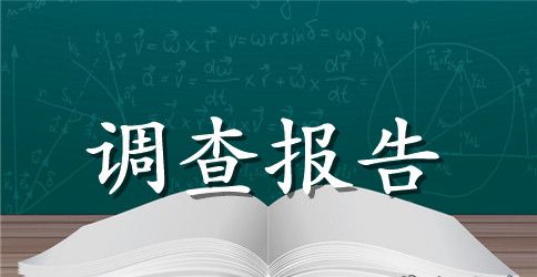 省级文明村青冈县建设乡新合村的调查报告