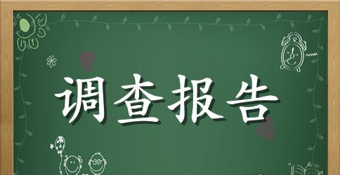 调查报告作文600字八篇