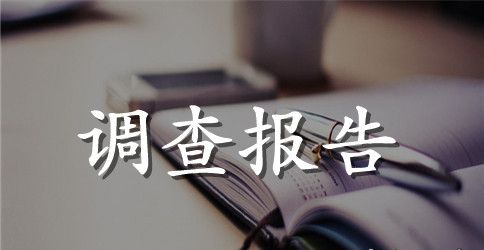 【精华】调查报告作文汇总10篇