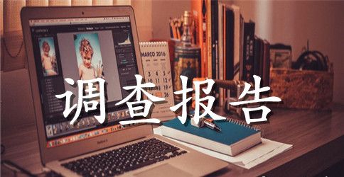 调查报告作文400字合集7篇