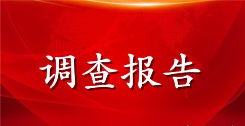 大学生消费状况调查报告范文