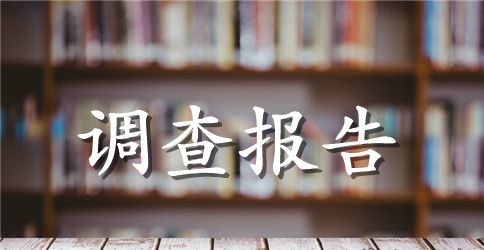 公司社会调查报告参考范文