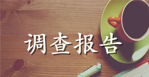 大学生社会实践活动的调查报告范文