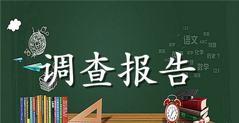 小学教育调查报告模板