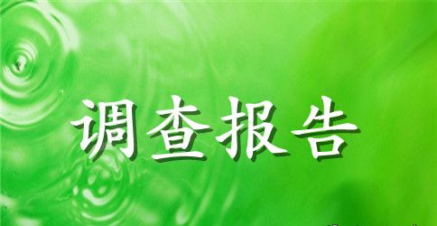 2023年中国农村留守儿童的社会调查报告模板