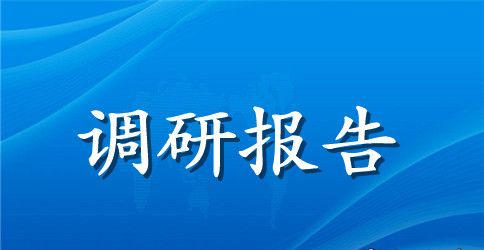 无经营执照现象社会调查报告