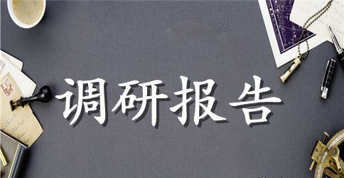 2023两学一做专题调研报告