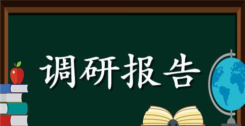 新农村建设调研报告范文【精选】