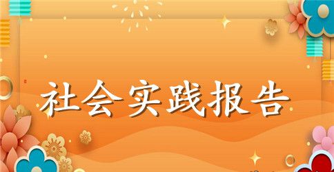 社会实践活动个人总结 社会实践报告范文精选