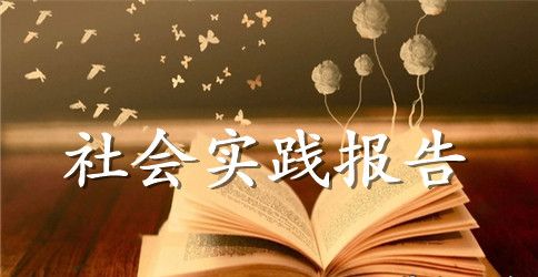 关于志愿者暑假社会实践报告范文