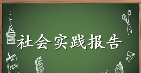 2023最新社会调查实践报告