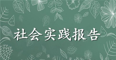 大学生暑假社会实践报告3000字模板