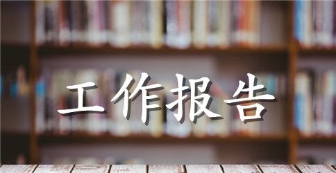 乡镇人大换届政府工作报告