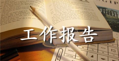 上届党支部委员会工作报告