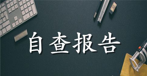 公司服务承诺自查自纠报告范文