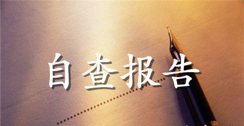 企业自查报告范文3篇