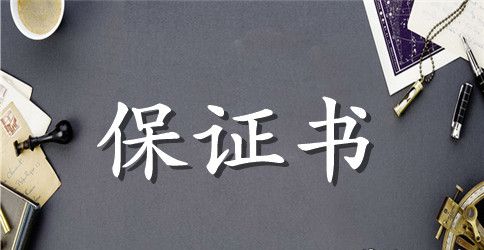 上课不玩手机保证书100字