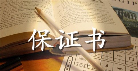 公司打架保证书