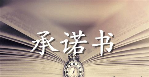 精选公司承诺书范文汇编七篇