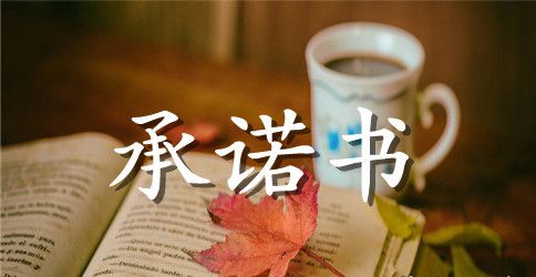 【热门】个人承诺书模板合集七篇