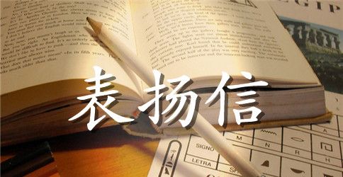 写给公司的表扬信集锦七篇